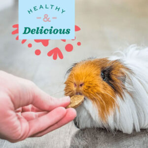 Oxbow Joint Support vitamine