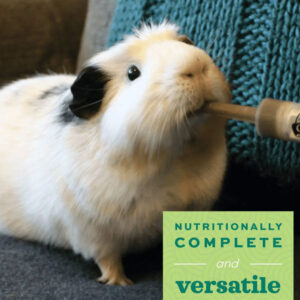 Critical care per piccoli animali erbivori