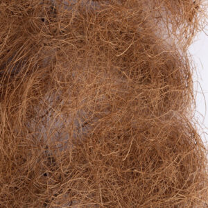 Fibra Cocco per rettili e anfibi